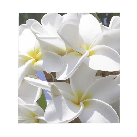 Tropische Plumeria-Blume Notizblock (Vorderseite)
