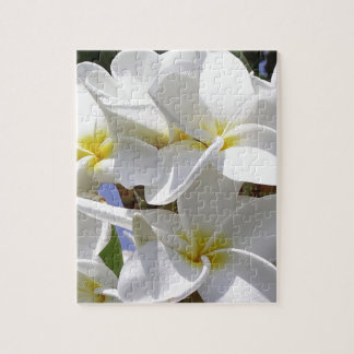 Tropische Plumeria-Blume Puzzle