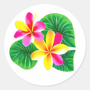 Tropische Plumeria-Blume Runder Aufkleber