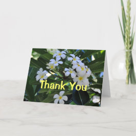 Tropische Plumeria-Blumen danken Ihnen zu Dankeskarte