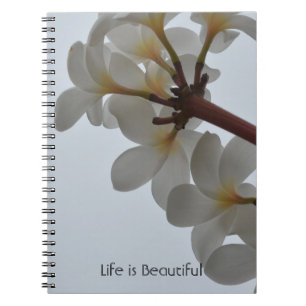 Tropische Plumeria-Blumen Kauai (meine Fotografie) Notizblock