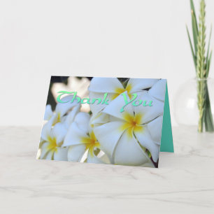 Tropische Plumeria-Dankeskarten Dankeskarte