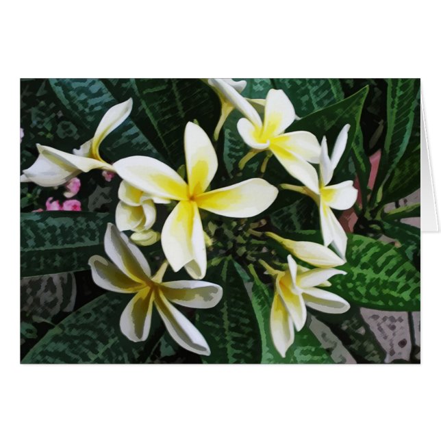 Tropische Plumeria-Karte (Vorderseite (Horizontal))