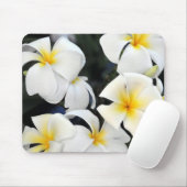 Tropische Plumeriafrangipani-Blume Mousepad (Mit Mouse)