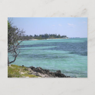 Tropische Postkarte