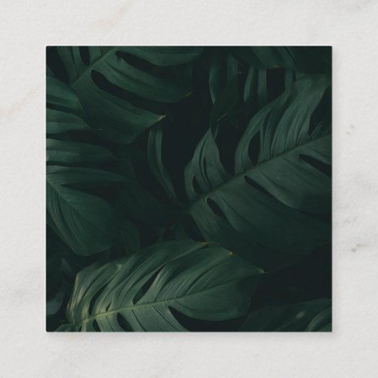 Tropische QR-UAWG-Hochzeit in Urlaubsort Begleitkarte (Rückseite)