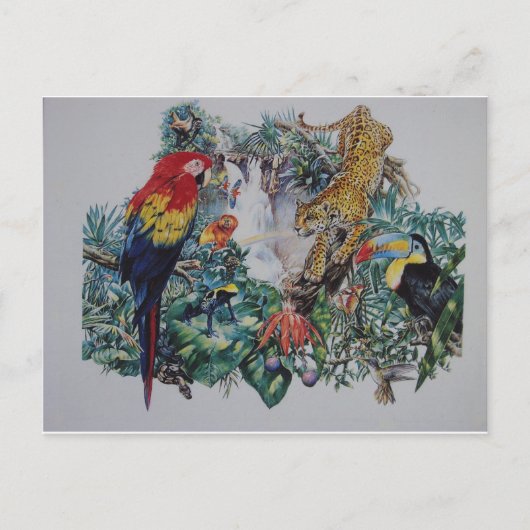 Tropische Rainforest Wildlife Collage Postkarte (Vorderseite)