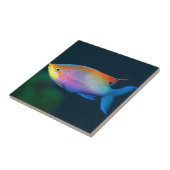 TROPISCHE REGENBOGEN-FISCH-WAND-FLIESE ODER TRIVET FLIESE (Seite)