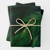 Tropische Regenwaldblätterung Geschenkpapier Set (Beispiel)