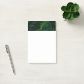 Tropische Regenwaldblätterung Post-it Klebezettel (Büro)