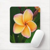 Tropische Richtungen Mousepad (Mit Mouse)