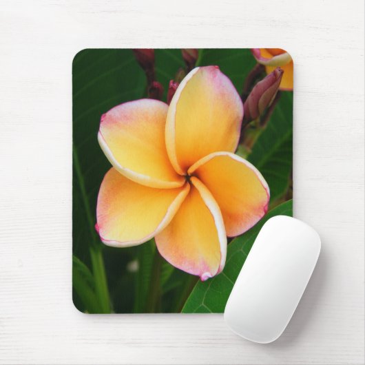 Tropische Richtungen Mousepad (Mit Mouse)