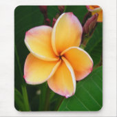 Tropische Richtungen Mousepad (Vorne)