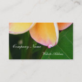 Tropische Richtungen Visitenkarte (Rückseite)