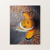 Tropische Rifffische - Clownfish Puzzle (Vertikal)