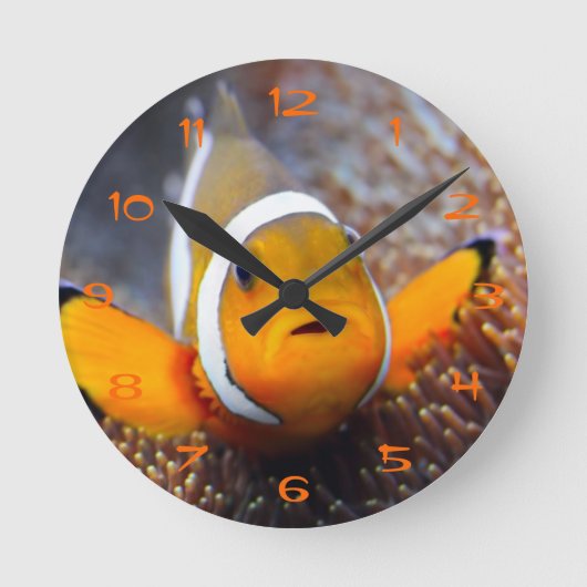 Tropische Rifffische - Clownfish Runde Wanduhr (Vorderseite)