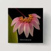 Tropische rosa Orchidee Button (Vorderseite)
