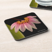 Tropische rosa Orchidee Getränkeuntersetzer (Linke Seite)