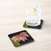 Tropische rosa Orchidee Getränkeuntersetzer (Rechte Seite)