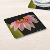 Tropische rosa Orchidee Rechteckiger Pappuntersetzer (angewinkelt)