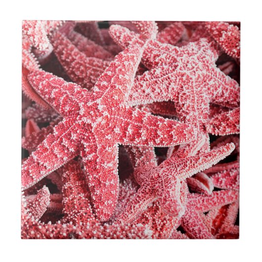 Tropische rosa Starfish Fliese (Vorderseite)