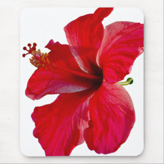 Tropische rote Hibiskus-Blume Mousepad