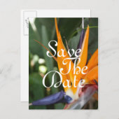Tropische Save the Date Postkarten (Vorne/Hinten)