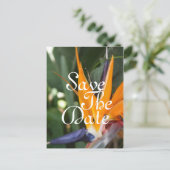 Tropische Save the Date Postkarten (Stehend Vorderseite)