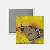 Tropische Schmetterlinge Magnet (Vorderseite/Rückseite)