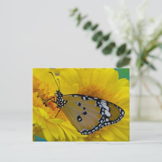 Tropische Schmetterlinge Postkarte (Stehend Vorderseite)