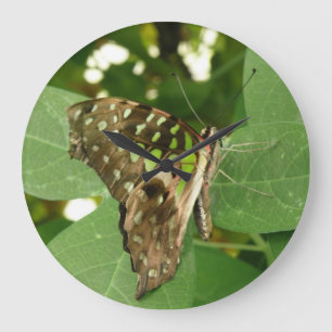 Tropische Schmetterlingsmauer-Uhr Große Wanduhr