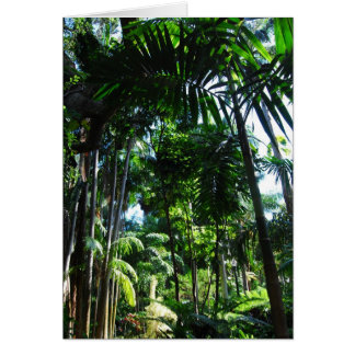 Tropische Schönheit