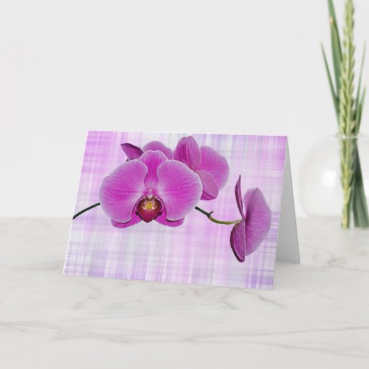 Tropische Schönheit Karte (Vorderseite)