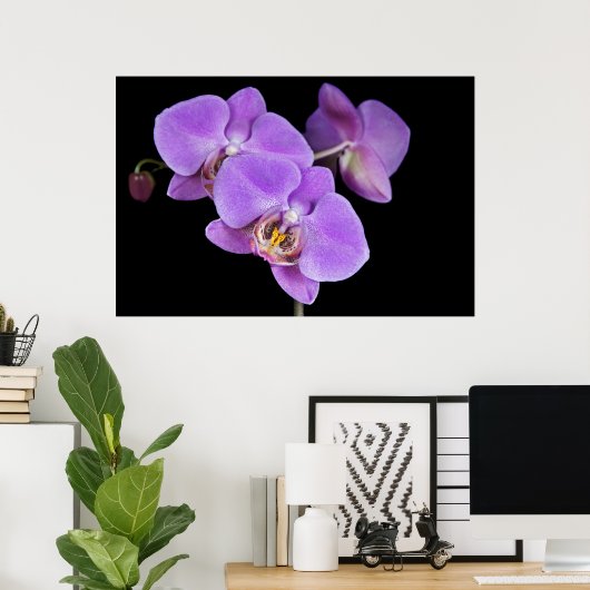 Tropische Schönheit Poster (Heimbüro)