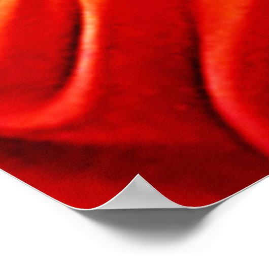 Tropische Schönheit und blauer Papagei Poster (Ecke)