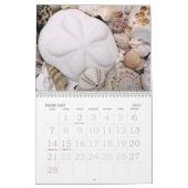 Tropische Seashell-Fotografie mit individueller Gr Kalender (Feb 2027)