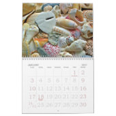 Tropische Seashell-Fotografie mit individueller Gr Kalender (Jan 2027)
