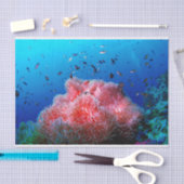 Tropische Seeleben-rosa glühende Anemonen-Koralle Seidenpapier (Handwerk)