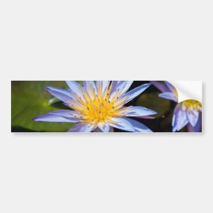 Tropische Seerosen Florale Botanische Gestaltung Autoaufkleber
