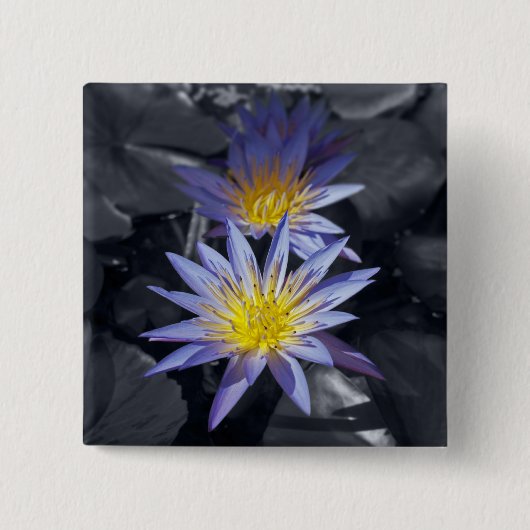 Tropische Seerosen Florale Botanische Gestaltung Button (Vorderseite)