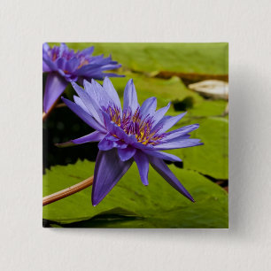 Tropische Seerosen Florale Botanische Gestaltung Button