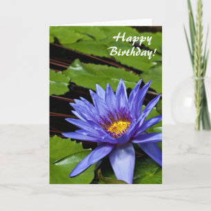 Tropische Seerosen Florale Botanische Gestaltung Karte