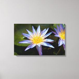 Tropische Seerosen Florale Botanische Gestaltung Leinwanddruck