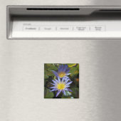 Tropische Seerosen Florale Botanische Gestaltung Magnet (In Situ (Geschirrspüler))