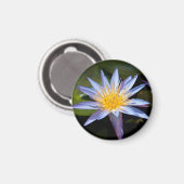 Tropische Seerosen Florale Botanische Gestaltung Magnet (Vorderseite/Rückseite)