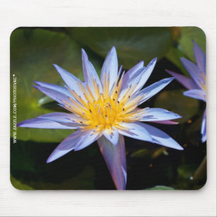 Tropische Seerosen Florale Botanische Gestaltung Mousepad