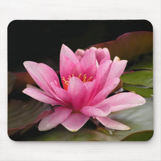 Tropische Seerosen Florale Botanische Gestaltung Mousepad (Vorne)