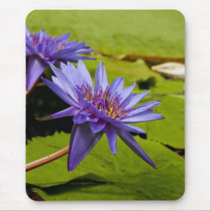Tropische Seerosen Florale Botanische Gestaltung Mousepad