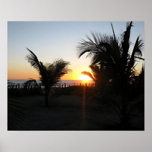 Tropische Sonnenuntergang-Silhouette Poster