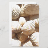 Tropische sonnige exotische Muscheln Briefpapier (Vorne/Hinten)